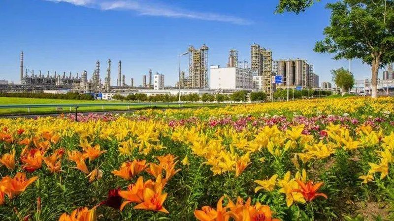 食品级分散剂生产资质：保障食品安全的关键环节