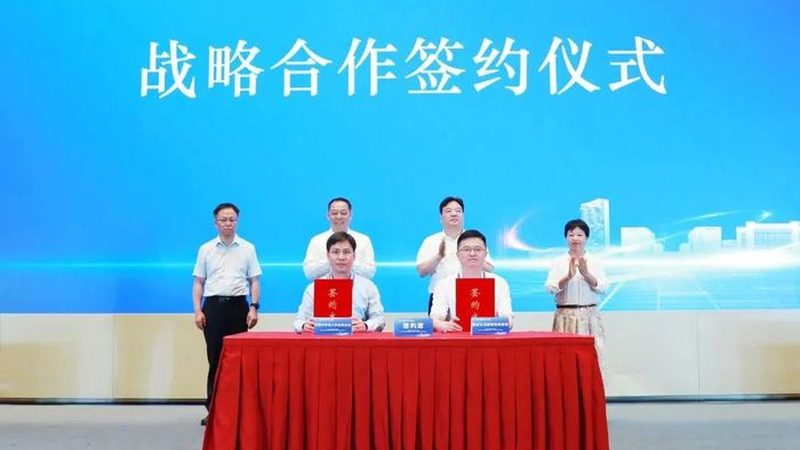 工业添加剂定制：规格参数背后的关键考量**